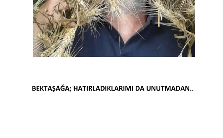 NAZA Belgeseli Hakkında Merak Edilenler