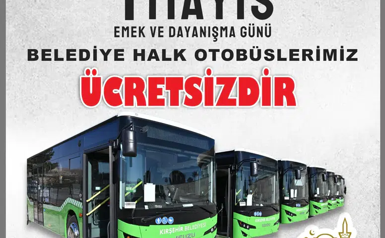 Biran Damla Yılmaz'ın Hayatı ve Kariyeri
